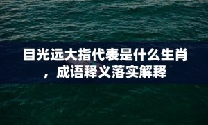 目光远大指代表是什么生肖，成语释义落实解释