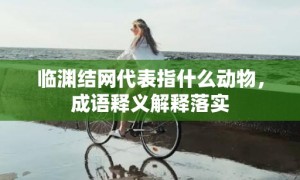 临渊结网代表指什么动物，成语释义解释落实