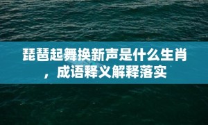 琵琶起舞换新声是什么生肖，成语释义解释落实