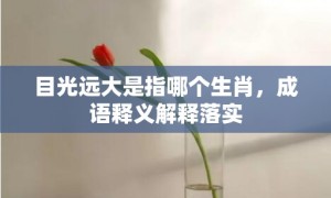 目光远大是指哪个生肖，成语释义解释落实