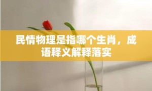 民情物理是指哪个生肖，成语释义解释落实