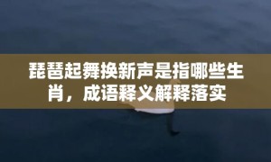 琵琶起舞换新声是指哪些生肖，成语释义解释落实