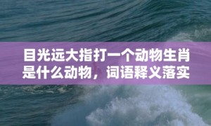 目光远大指打一个动物生肖是什么动物，词语释义落实解释