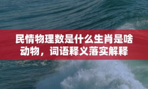 民情物理数是什么生肖是啥动物，词语释义落实解释