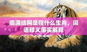 临渊结网是指什么生肖，词语释义落实解释