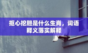 抠心挖胆是什么生肖，词语释义落实解释