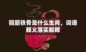 铜筋铁骨是什么生肖，词语释义落实解释