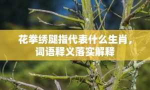 花拳绣腿指代表什么生肖，词语释义落实解释