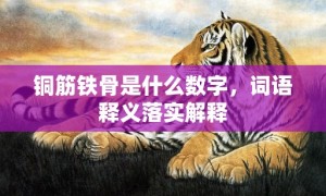 铜筋铁骨是什么数字，词语释义落实解释