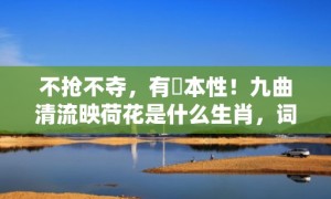 不抢不夺，有違本性！九曲清流映荷花是什么生肖，词语释义落实解释