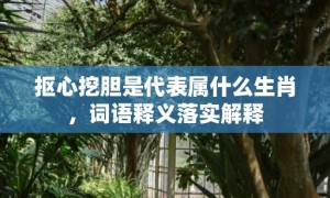 抠心挖胆是代表属什么生肖，词语释义落实解释