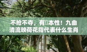 不抢不夺，有違本性！九曲清流映荷花指代表什么生肖，词语释义落实解释