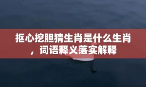 抠心挖胆猜生肖是什么生肖，词语释义落实解释