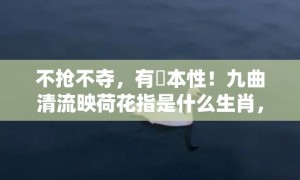 不抢不夺，有違本性！九曲清流映荷花指是什么生肖，词语释义落实解释