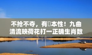 不抢不夺，有違本性！九曲清流映荷花打一正确生肖数字，词语释义落实解释