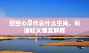 挖空心思代表什么生肖，词语释义落实解释