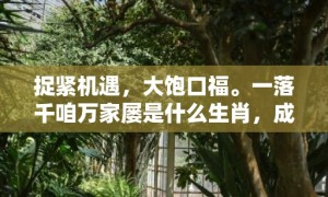 捉紧机遇，大饱口福。一落千咱万家屡是什么生肖，成语释义解释落实