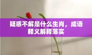 疑惑不解是什么生肖，成语释义解释落实