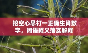 挖空心思打一正确生肖数字，词语释义落实解释