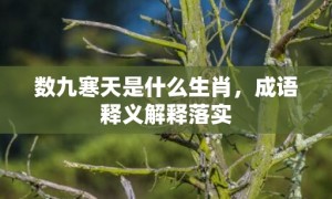 数九寒天是什么生肖，成语释义解释落实