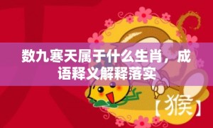 数九寒天属于什么生肖，成语释义解释落实