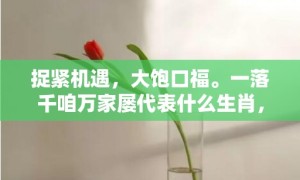 捉紧机遇，大饱口福。一落千咱万家屡代表什么生肖，成语释义解释落实