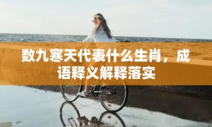 数九寒天代表什么生肖，成语释义解释落实