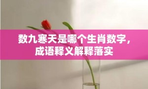 数九寒天是哪个生肖数字，成语释义解释落实