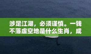 涉足江湖，必须谨慎。一钱不落虚空地是什么生肖，成语释义解释落实