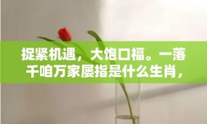 捉紧机遇，大饱口福。一落千咱万家屡指是什么生肖，成语释义解释落实