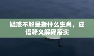 疑惑不解是指什么生肖，成语释义解释落实