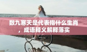 数九寒天是代表指什么生肖，成语释义解释落实