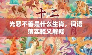 光恶不善是什么生肖，词语落实释义解释