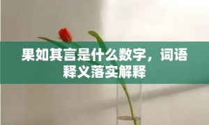 果如其言是什么数字，词语释义落实解释