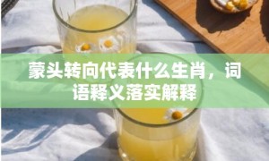 蒙头转向代表什么生肖，词语释义落实解释