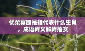 优柔寡断是指代表什么生肖，成语释义解释落实