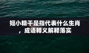 短小精干是指代表什么生肖，成语释义解释落实