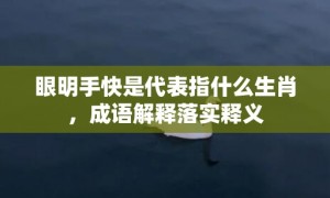 眼明手快是代表指什么生肖，成语解释落实释义