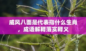 威风八面是代表指什么生肖，成语解释落实释义