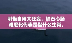 刚愎自用太狂妄，铁石心肠难磨化代表是指什么生肖，成语落实释义解释