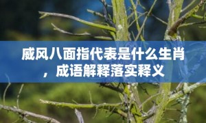 威风八面指代表是什么生肖，成语解释落实释义