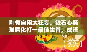 刚愎自用太狂妄，铁石心肠难磨化打一最佳生肖，成语解释落实释义