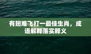 有翅难飞打一最佳生肖，成语解释落实释义