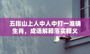 五指山上人中人中打一准确生肖，成语解释落实释义