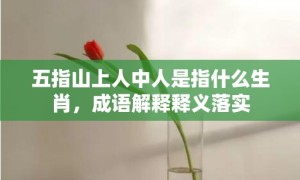 五指山上人中人是指什么生肖，成语解释释义落实