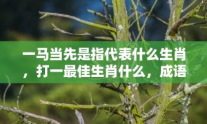 一马当先是指代表什么生肖，打一最佳生肖什么，成语解释落实释义