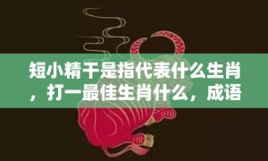 短小精干是指代表什么生肖，打一最佳生肖什么，成语解释落实释义