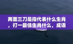 两面三刀是指代表什么生肖，打一最佳生肖什么，成语解释落实释义