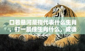 口若悬河是指代表什么生肖，打一最佳生肖什么，成语解释落实释义