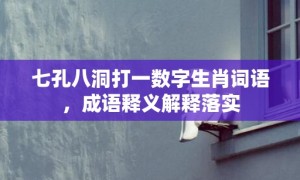 七孔八洞打一数字生肖词语，成语释义解释落实